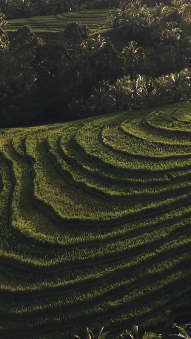https://d2zmqyh8caa94h.cloudfront.net/creator_social_media_contents/instagram/reels/DZNX1mKpXd2/DZNX1mKpXd2.mp4