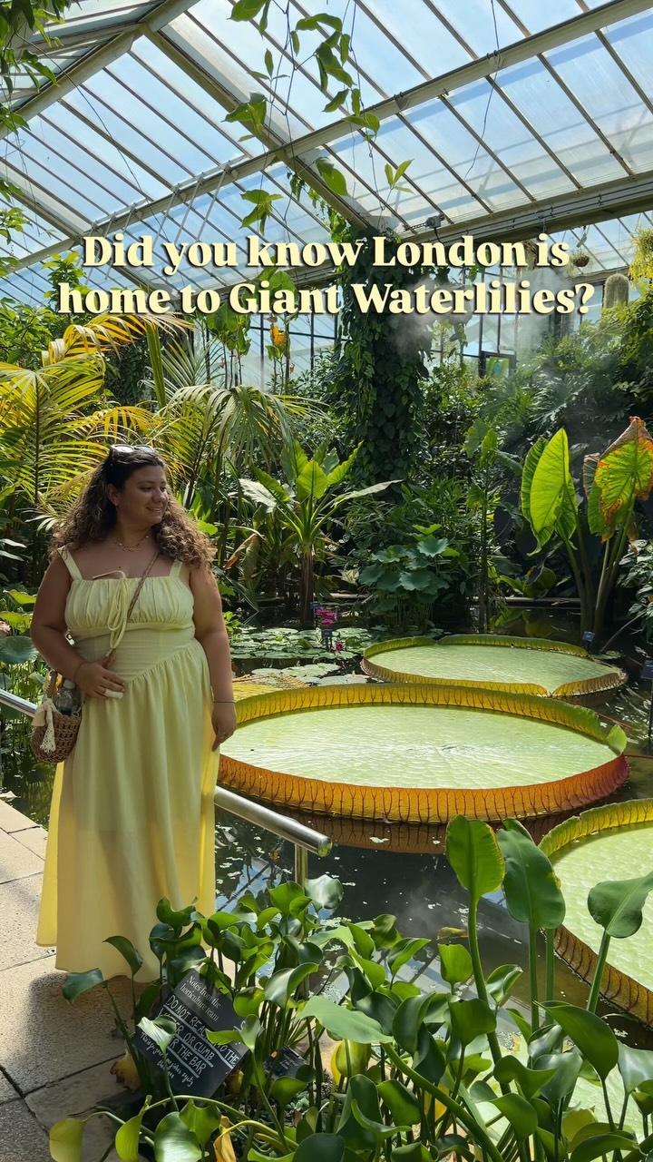 https://d2zmqyh8caa94h.cloudfront.net/creator_social_media_contents/instagram/reels/DbEEft2ilIY/DbEEft2ilIY.mp4