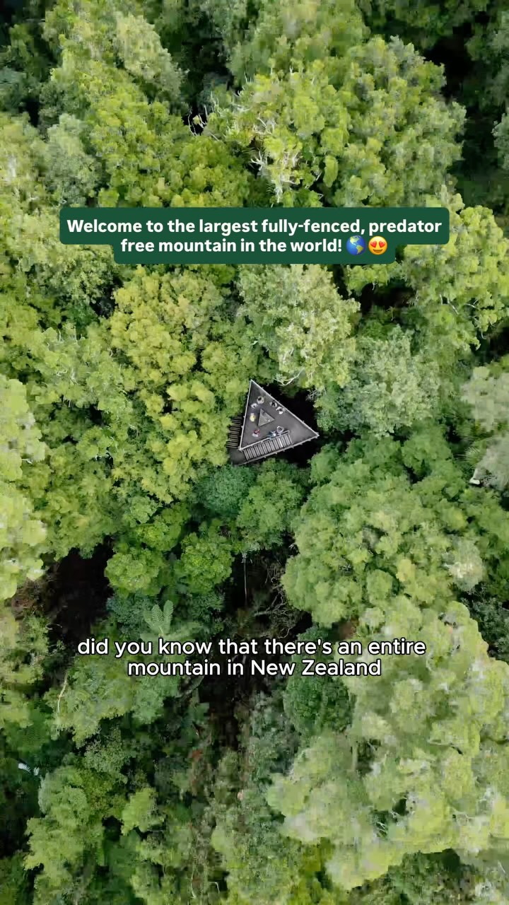 https://d2zmqyh8caa94h.cloudfront.net/creator_social_media_contents/instagram/reels/DbZyW6iPrZI/DbZyW6iPrZI.mp4
