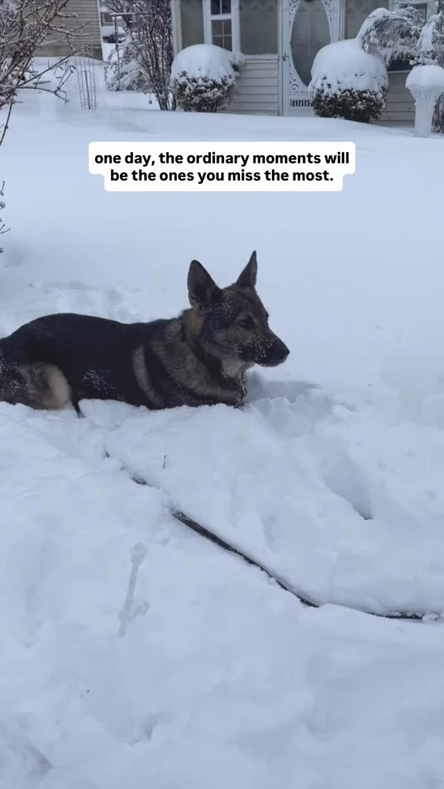 https://d2zmqyh8caa94h.cloudfront.net/creator_social_media_contents/instagram/reels/Dbq-buIysAc/Dbq-buIysAc.mp4