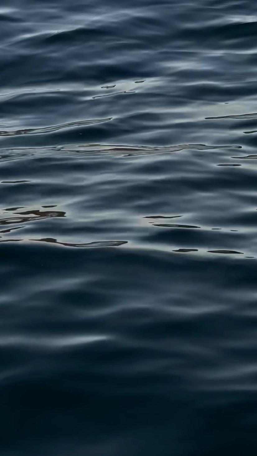 https://d2zmqyh8caa94h.cloudfront.net/creator_social_media_contents/instagram/reels/DcfP0DzhRur/DcfP0DzhRur.mp4