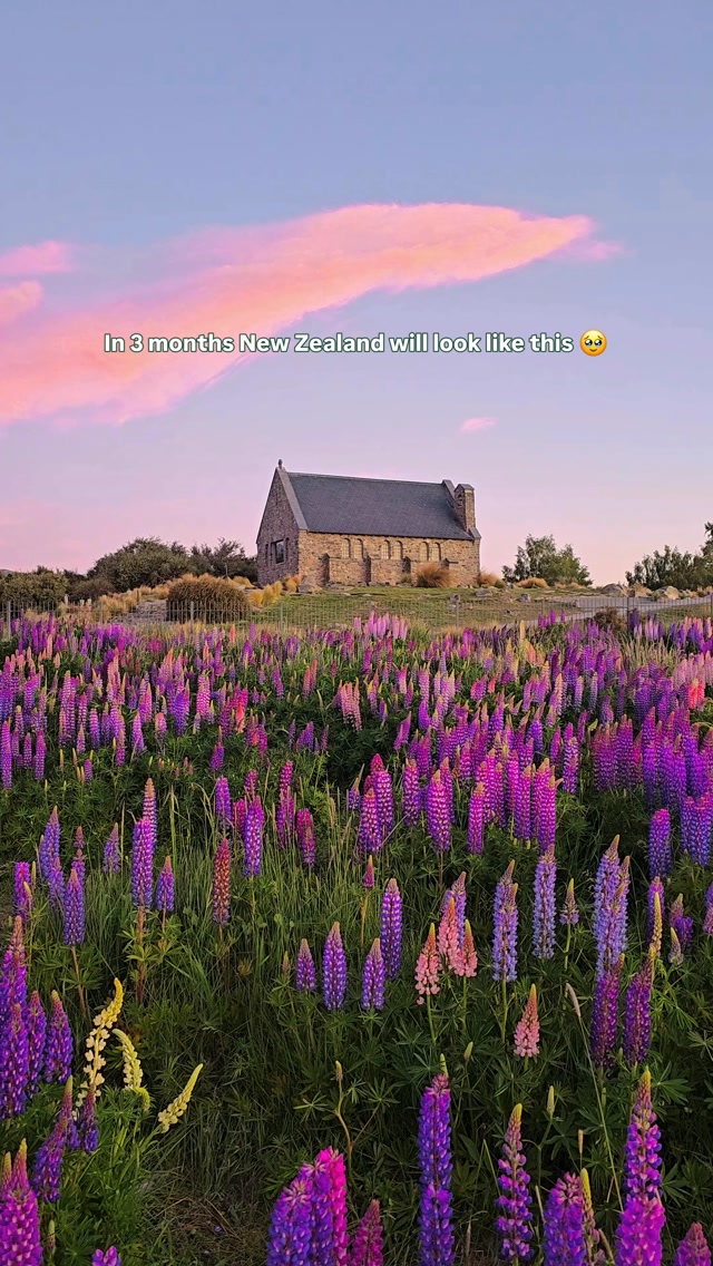 https://d2zmqyh8caa94h.cloudfront.net/creator_social_media_contents/instagram/reels/DcsY9DGvycq/DcsY9DGvycq.mp4
