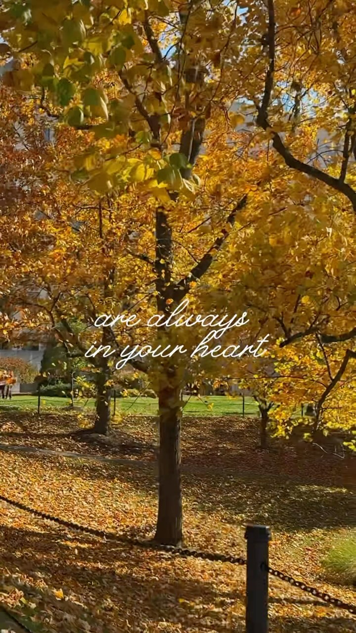 https://d2zmqyh8caa94h.cloudfront.net/creator_social_media_contents/instagram/reels/Dcvsilooubr/Dcvsilooubr.mp4
