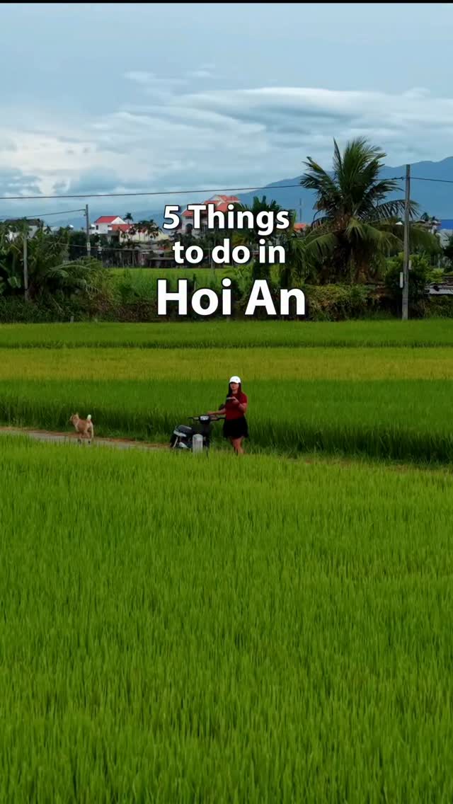 https://d2zmqyh8caa94h.cloudfront.net/creator_social_media_contents/instagram/reels/DcyQUBWzDaE/DcyQUBWzDaE.mp4