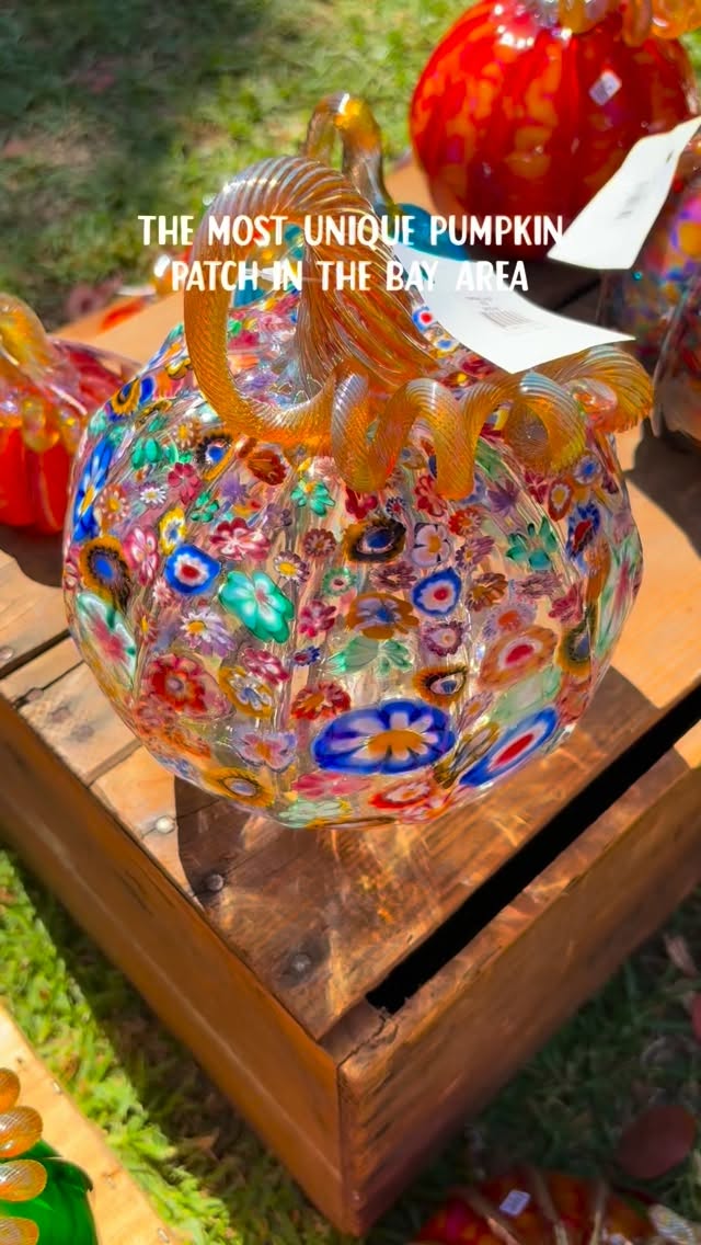 https://d2zmqyh8caa94h.cloudfront.net/creator_social_media_contents/instagram/reels/Ddy-4OUp-uZ/Ddy-4OUp-uZ.mp4