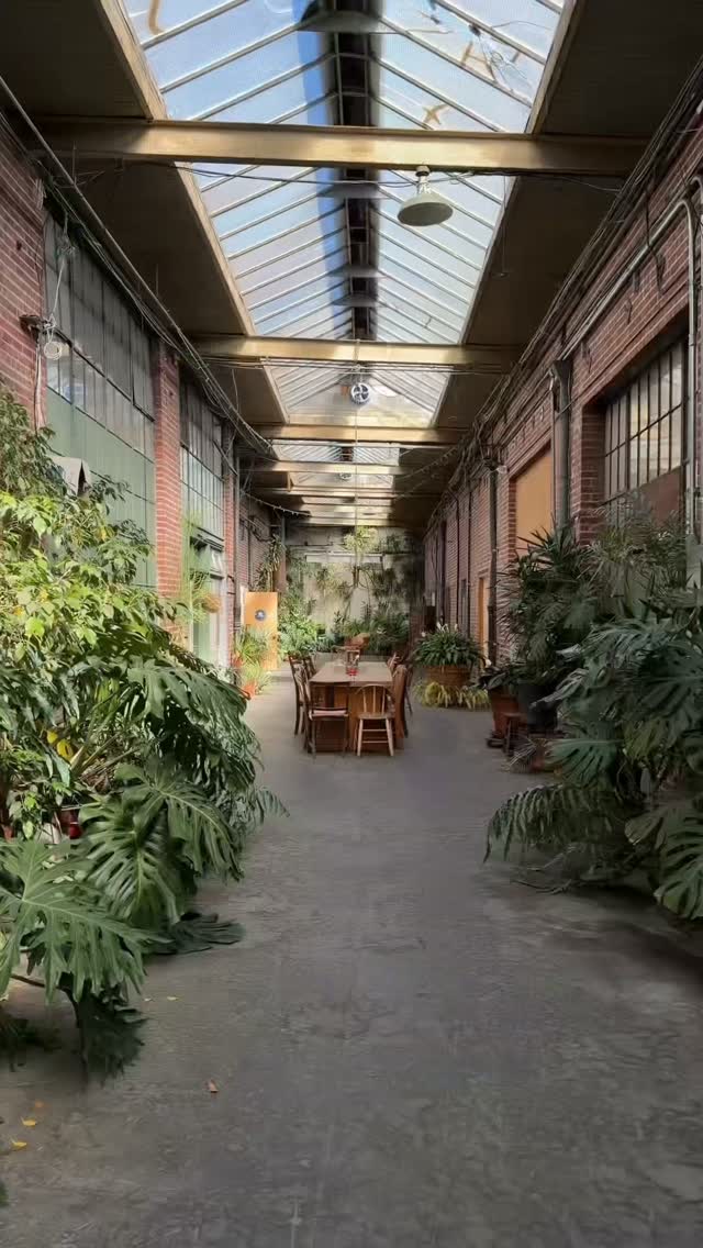 https://d2zmqyh8caa94h.cloudfront.net/creator_social_media_contents/instagram/reels/DeGGGMLhDYu/DeGGGMLhDYu.mp4