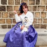 seoulsearchinglexi