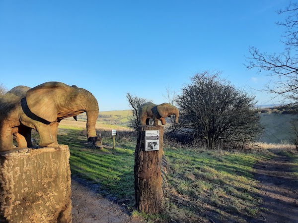National Trust - Devil's Dyke 2