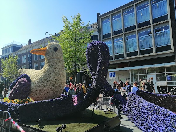 Haarlem 5