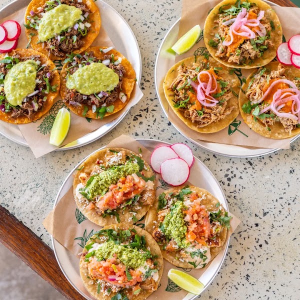 Costa Taco Broadbeach 5