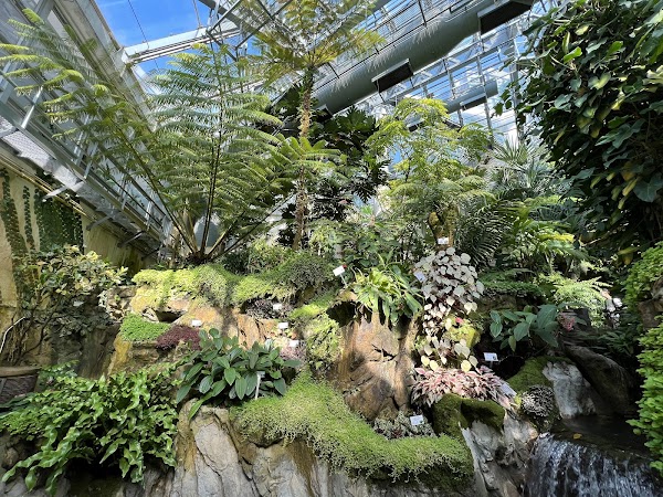 Forsgate Conservatory