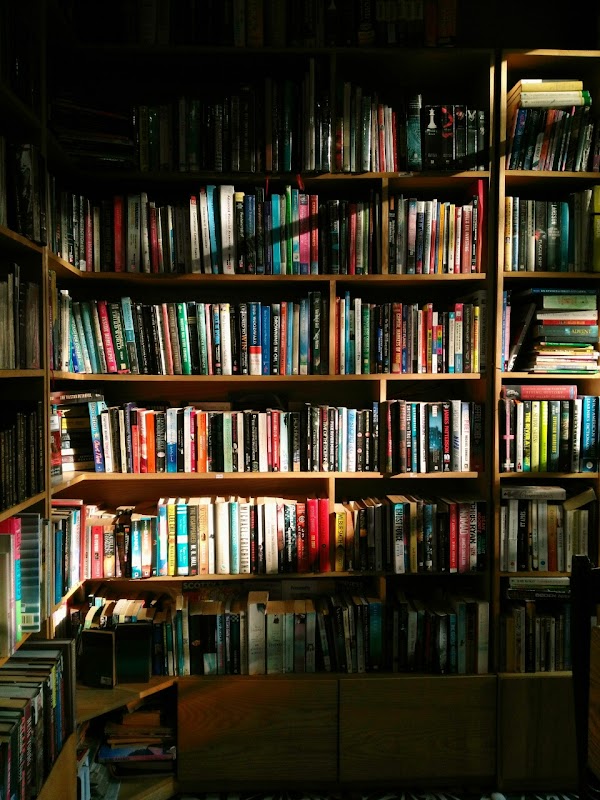Little Cats Bookstore 5