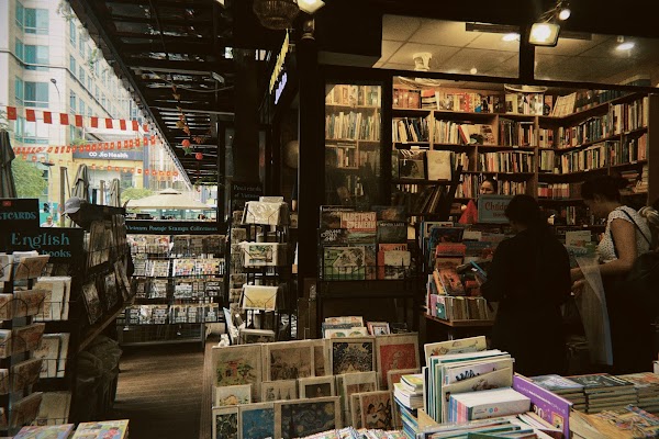 Little Cats Bookstore 4