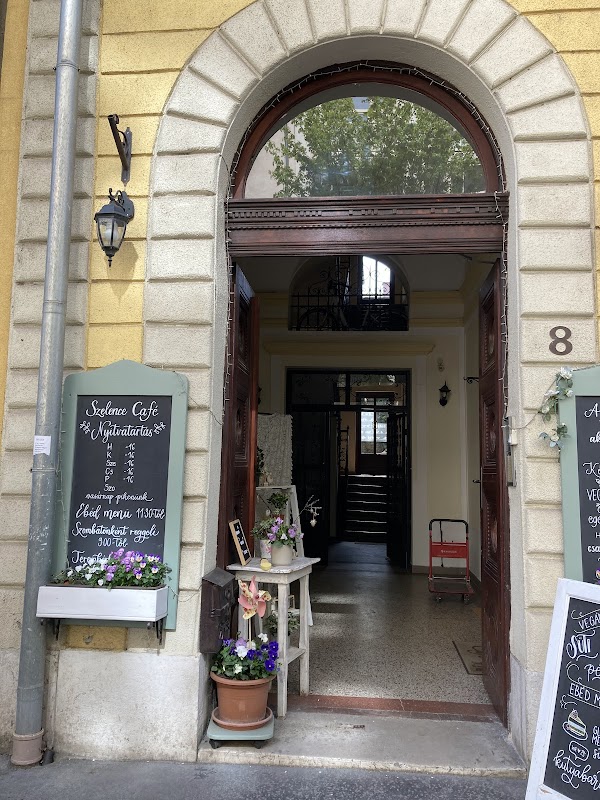 Szelence Café Health Food Restaurant 5