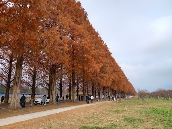 Takashima City Agricultural Park Makino Pick land 4