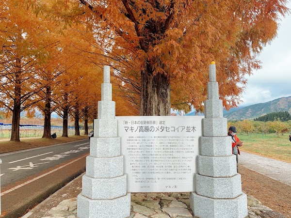 Takashima City Agricultural Park Makino Pick land 3