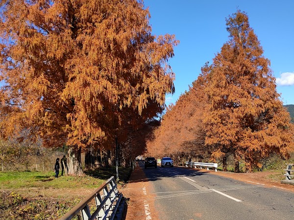 Takashima City Agricultural Park Makino Pick land 2