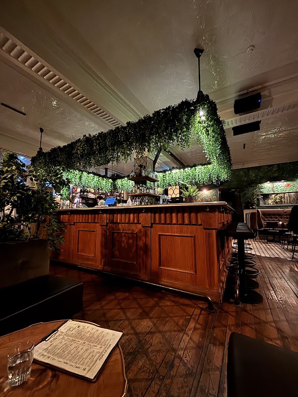 Jungle Cocktail Bar 4