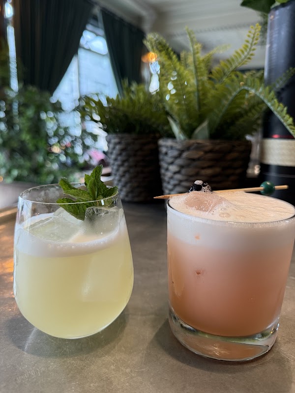 Jungle Cocktail Bar 3