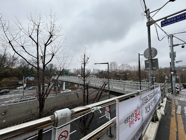 Noksapyeong Pedestrian Bridge 1