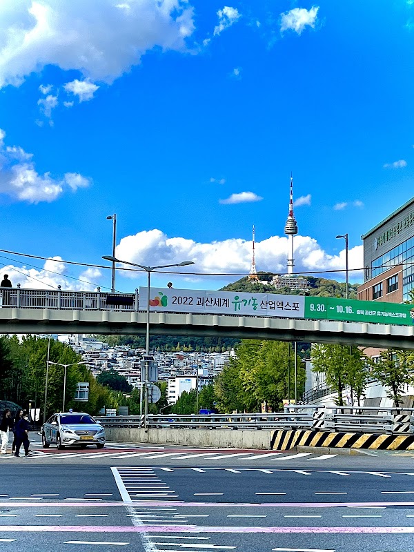 Noksapyeong Pedestrian Bridge 2