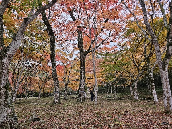 Ozuinariyama Park