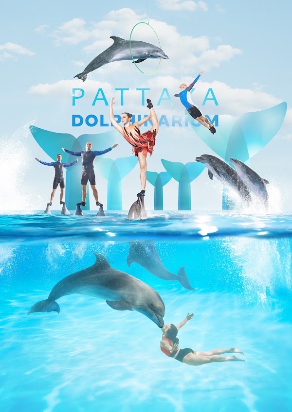Pattaya Dolphinarium 1