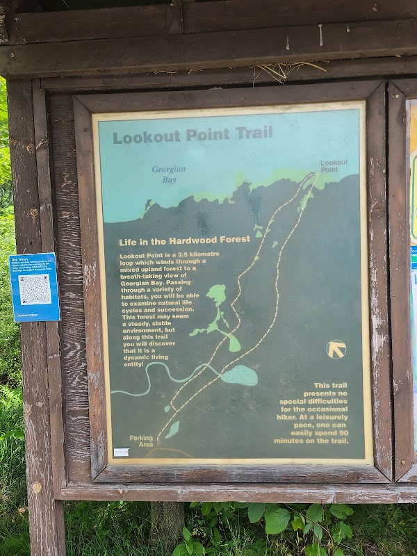 Lookout Point Trail