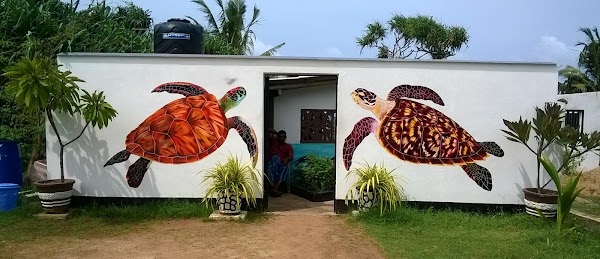Sea Turtle Farm & Hatchery koggala (Sea turtle conservation project)