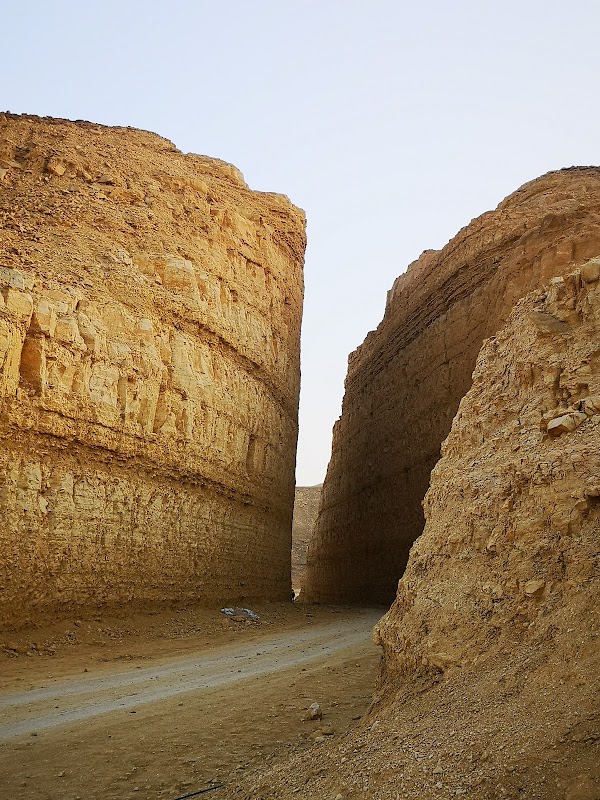 Riyadh 11