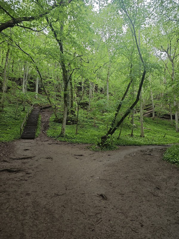 Mörkeklevs grotta