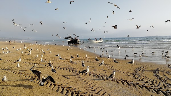 Praia da Riviera 3