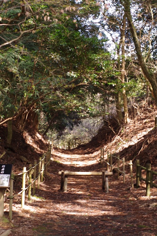 Toho Village 4