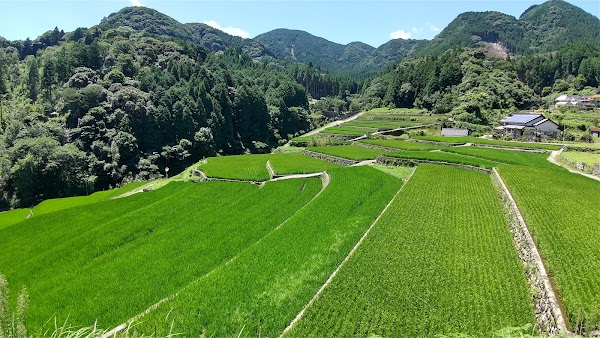 Toho Village 3