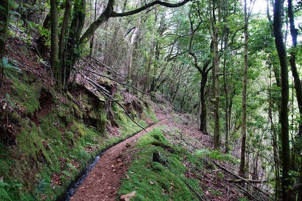 Madeira 11