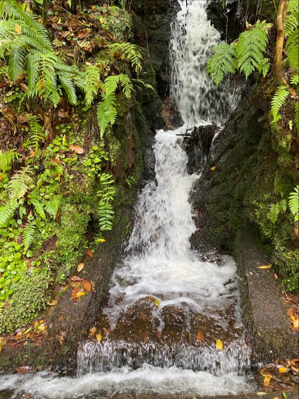 PR7 Levada do Moinho 3
