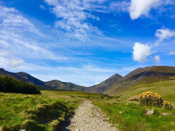 Brother O'Shea's Gully 3