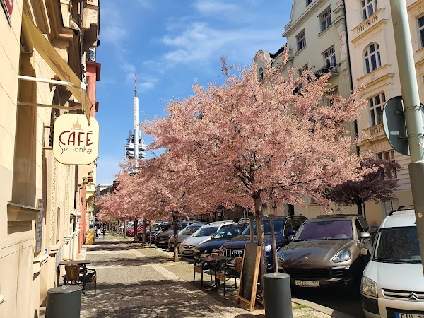 Riegrovy Sady 2