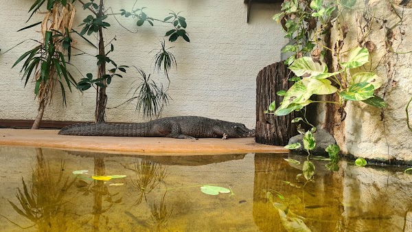 Vivarium Darmstadt 1