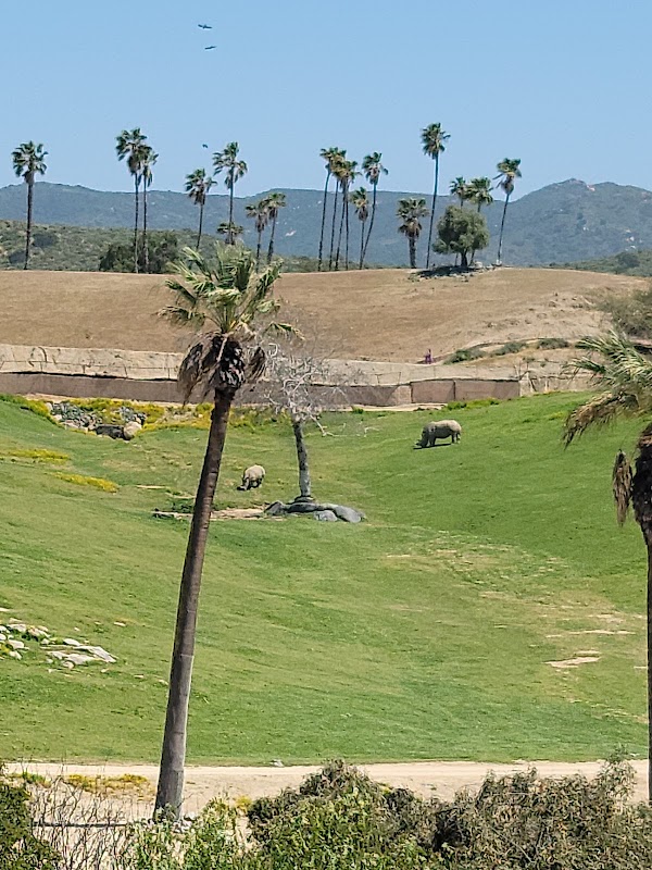 San Diego Zoo Safari Park 2