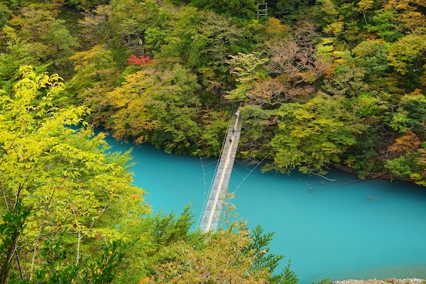 Yume no Tsuribashi suspension bridge 5