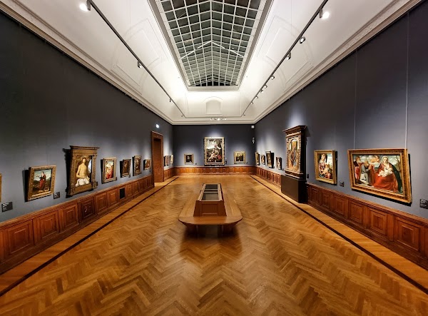 Museum of Fine Arts 5