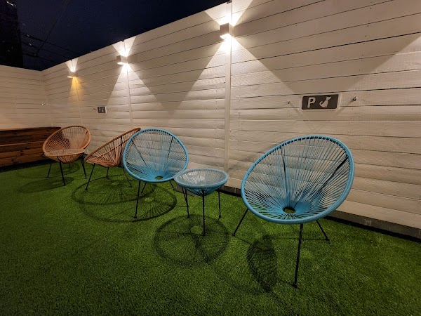 I JOA Pet Park Seoul