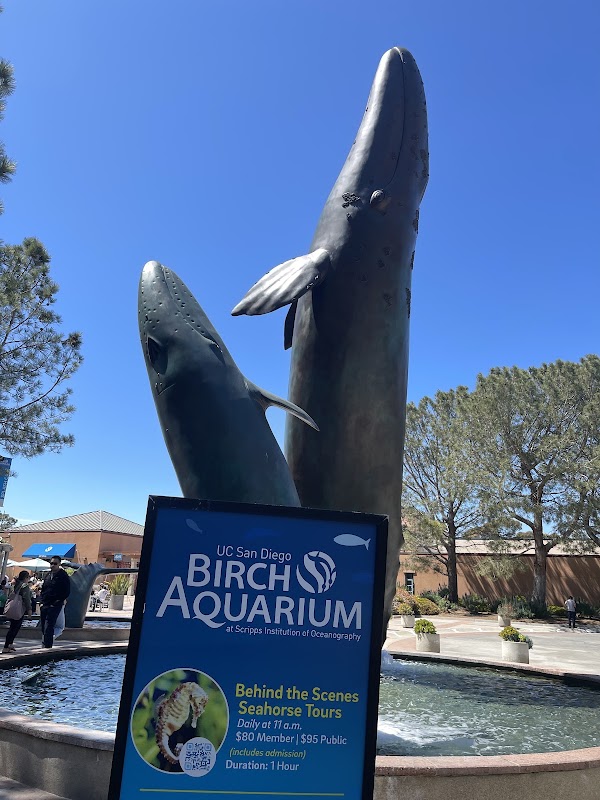 Birch Aquarium at Scripps Institution of Oceanography 5