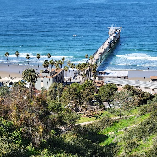 Birch Aquarium at Scripps Institution of Oceanography 4
