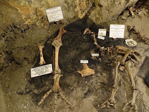 Ngarua Caves 5