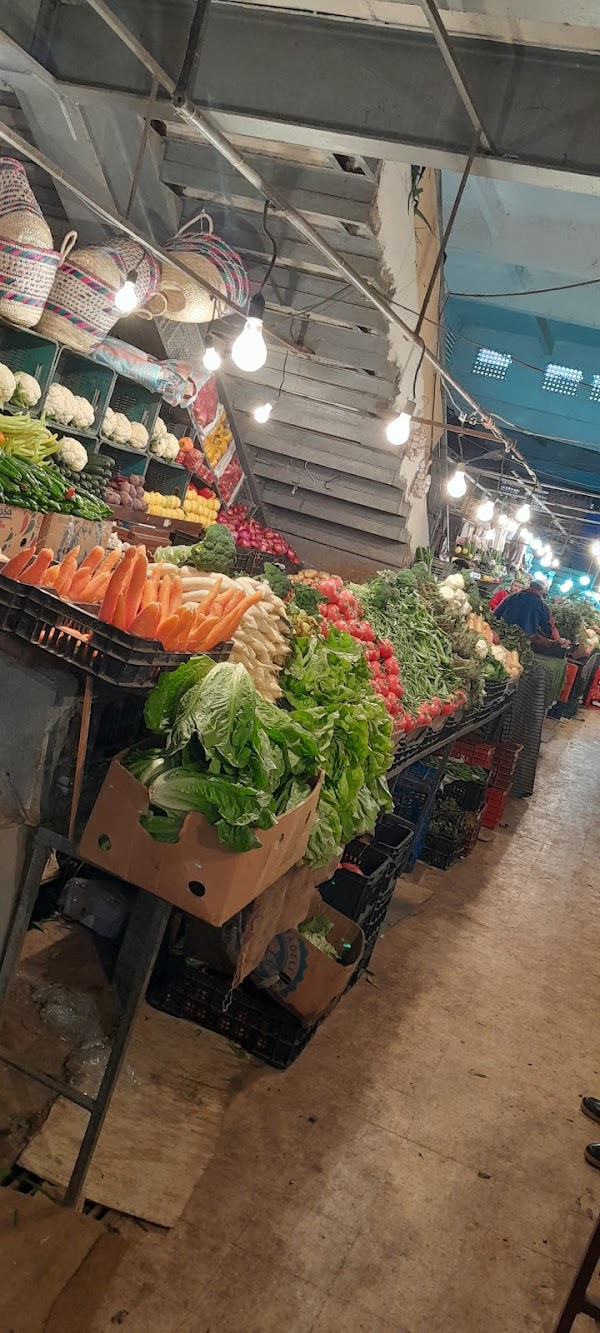 El Harrach centre 4