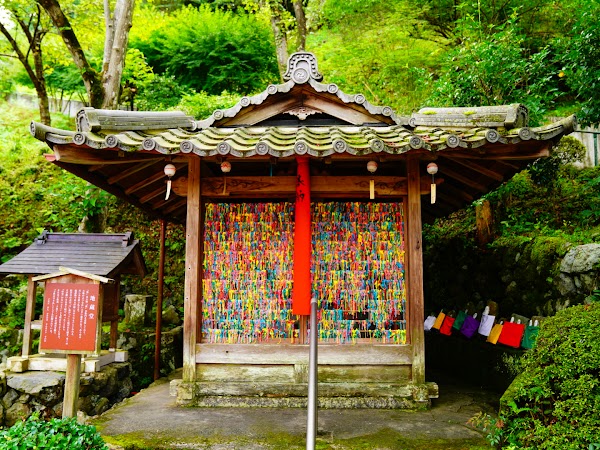 Shoju-in (Furin-ji) 5