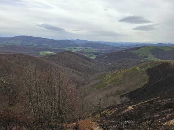 Camino de Santiago 5