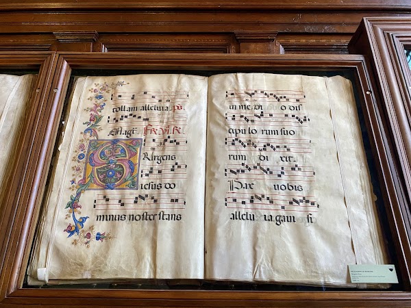 Piccolomini Library 5